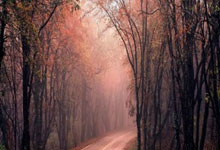 Java项目防止SQL注入4总方式