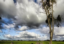 MySQL单表一千万的数据，如何快速查询