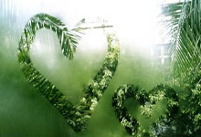 MySQL单表一千万的数据，如何快速查询