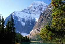 int(1) 和 int(10) 的区别