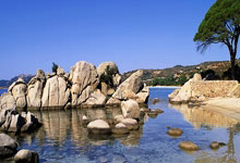 MySQL单表一千万的数据，如何快速查询